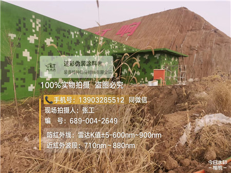 枣庄星空迷彩墙施工队