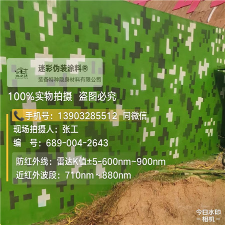 枣庄星空迷彩漆，夏令营训练,数码迷彩作训墙,围墙